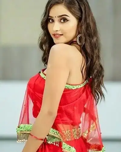 Call Girls Service Needamangalam